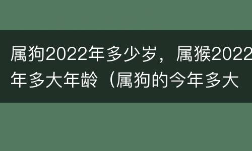 属狗2022年多少岁，属猴2022年多大年龄（属狗的今年多大2022年运势）