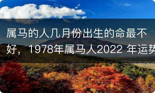 属马的人几月份出生的命最不好，1978年属马人2022 年运势