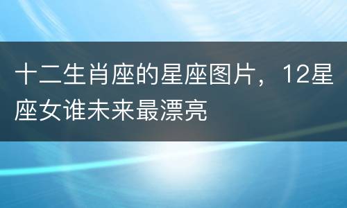 十二生肖座的星座图片，12星座女谁未来最漂亮