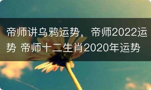 帝师讲乌鸦运势，帝师2022运势 帝师十二生肖2020年运势