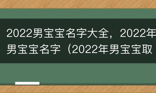 2022男宝宝名字大全，2022年男宝宝名字（2022年男宝宝取名字大全免费）