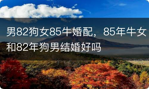 男82狗女85牛婚配，85年牛女和82年狗男结婚好吗