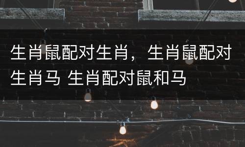 生肖鼠配对生肖，生肖鼠配对生肖马 生肖配对鼠和马