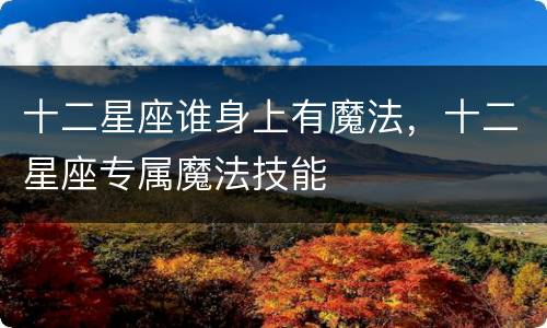 十二星座谁身上有魔法，十二星座专属魔法技能