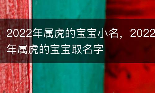 2022年属虎的宝宝小名，2022年属虎的宝宝取名字