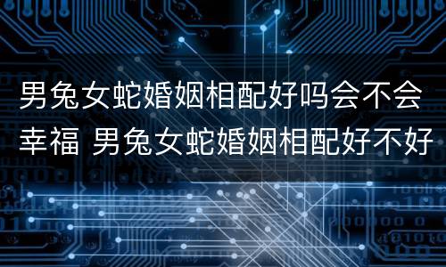 男兔女蛇婚姻相配好吗会不会幸福 男兔女蛇婚姻相配好不好