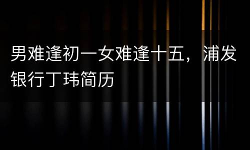 男难逢初一女难逢十五，浦发银行丁玮简历