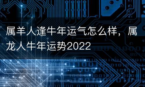 属羊人逢牛年运气怎么样，属龙人牛年运势2022