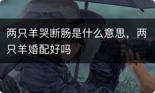 两只羊哭断肠是什么意思，两只羊婚配好吗