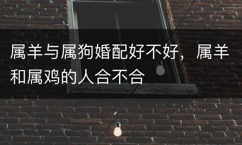 属羊与属狗婚配好不好，属羊和属鸡的人合不合