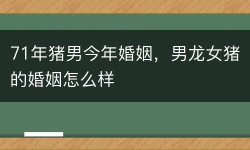 71年猪男今年婚姻，男龙女猪的婚姻怎么样