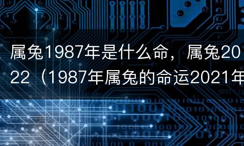 属兔1987年是什么命，属兔2022（1987年属兔的命运2021年好不好）