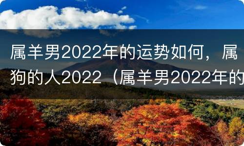 属羊男2022年的运势如何，属狗的人2022（属羊男2022年的运势和婚姻）