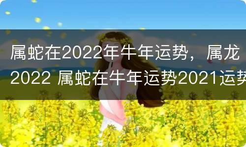 属蛇在2022年牛年运势，属龙2022 属蛇在牛年运势2021运势详解