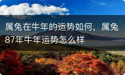 属兔在牛年的运势如何，属兔87年牛年运势怎么样