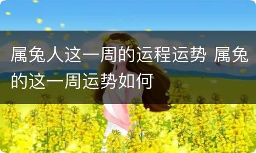 属兔人这一周的运程运势 属兔的这一周运势如何