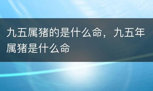九五属猪的是什么命，九五年属猪是什么命