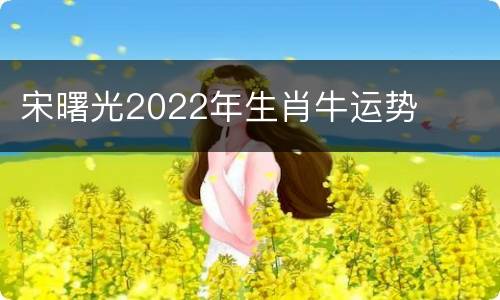 宋曙光2022年生肖牛运势