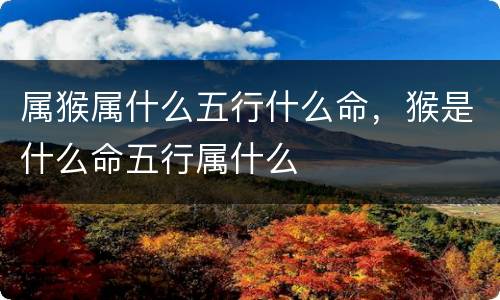 属猴属什么五行什么命，猴是什么命五行属什么