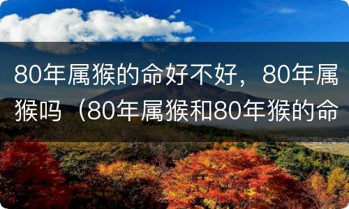 80年属猴的命好不好，80年属猴吗（80年属猴和80年猴的命运）