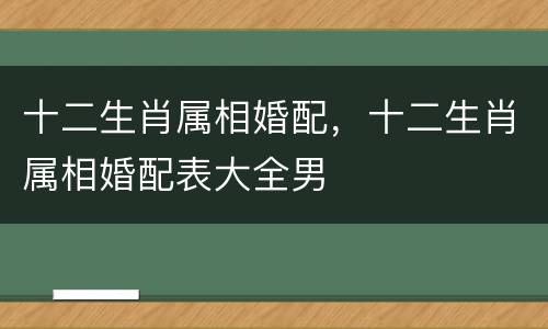 十二生肖属相婚配，十二生肖属相婚配表大全男