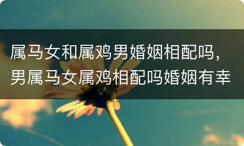 属马女和属鸡男婚姻相配吗，男属马女属鸡相配吗婚姻有幸福的吗