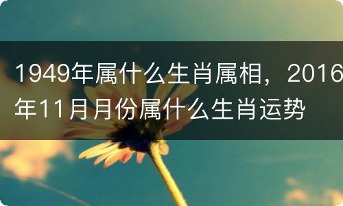 1949年属什么生肖属相，2016年11月月份属什么生肖运势