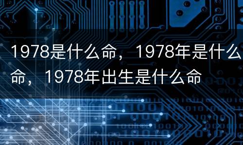 1978是什么命，1978年是什么命，1978年出生是什么命
