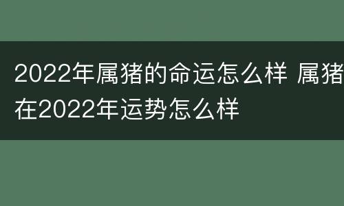 2022年属猪的命运怎么样 属猪在2022年运势怎么样