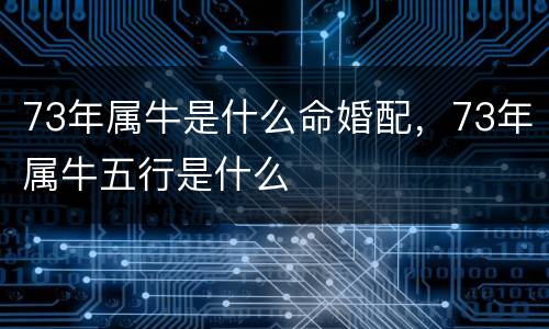 73年属牛是什么命婚配，73年属牛五行是什么