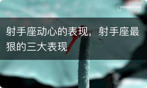 射手座动心的表现，射手座最狠的三大表现