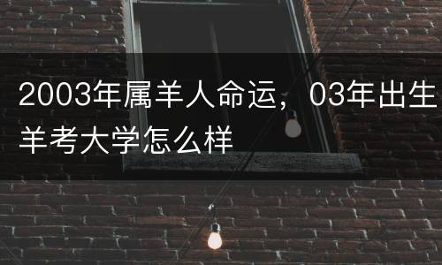 2003年属羊人命运，03年出生羊考大学怎么样