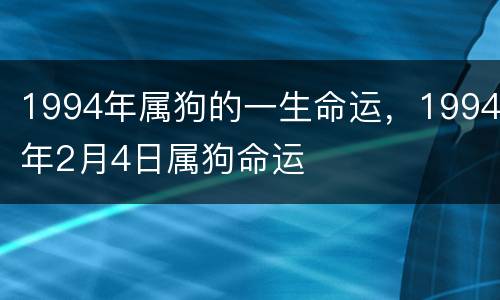 1994年属狗的一生命运，1994年2月4日属狗命运