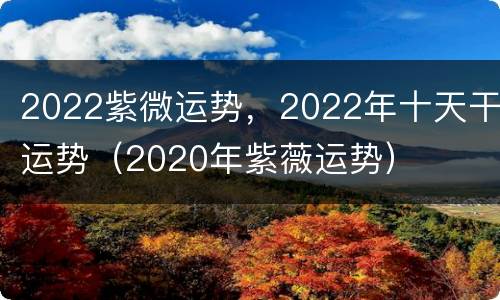 2022紫微运势，2022年十天干运势（2020年紫薇运势）