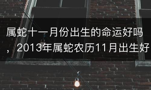 属蛇十一月份出生的命运好吗，2013年属蛇农历11月出生好吗