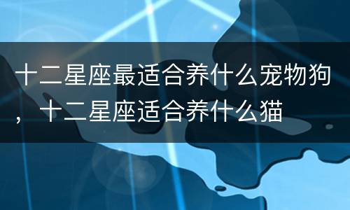 十二星座最适合养什么宠物狗，十二星座适合养什么猫