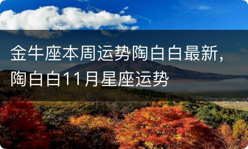 金牛座本周运势陶白白最新，陶白白11月星座运势