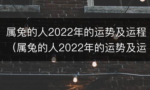 属兔的人2022年的运势及运程（属兔的人2022年的运势及运程1987）