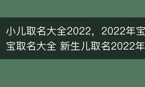 小儿取名大全2022，2022年宝宝取名大全 新生儿取名2022年好名字大全免费