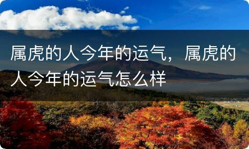 属虎的人今年的运气，属虎的人今年的运气怎么样