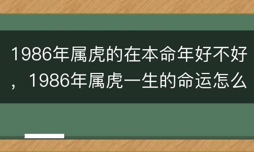 1986年属虎的在本命年好不好，1986年属虎一生的命运怎么样