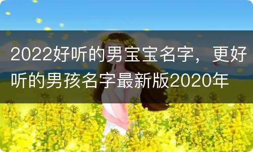 2022好听的男宝宝名字，更好听的男孩名字最新版2020年