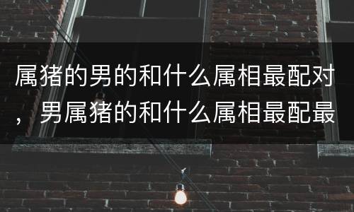 属猪的男的和什么属相最配对，男属猪的和什么属相最配最合适