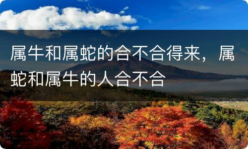属牛和属蛇的合不合得来，属蛇和属牛的人合不合