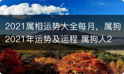 2021属相运势大全每月，属狗2021年运势及运程 属狗人2
