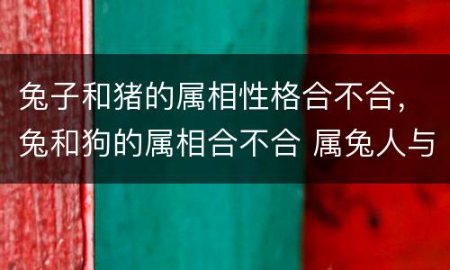 兔子和猪的属相性格合不合，兔和狗的属相合不合 属兔人与属狗人