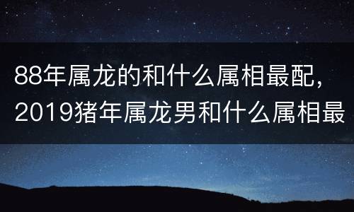 88年属龙的和什么属相最配，2019猪年属龙男和什么属相最配