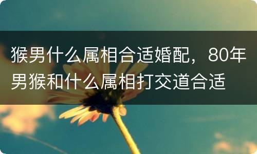 猴男什么属相合适婚配，80年男猴和什么属相打交道合适