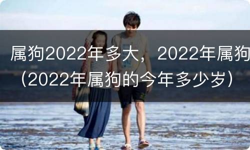 属狗2022年多大，2022年属狗（2022年属狗的今年多少岁）