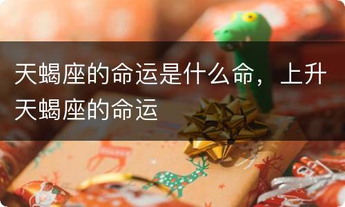 天蝎座的命运是什么命，上升天蝎座的命运